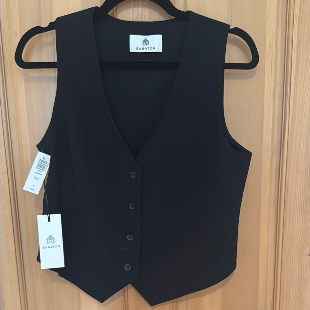 Babaton Black Sleeveless Fitted Blouse
